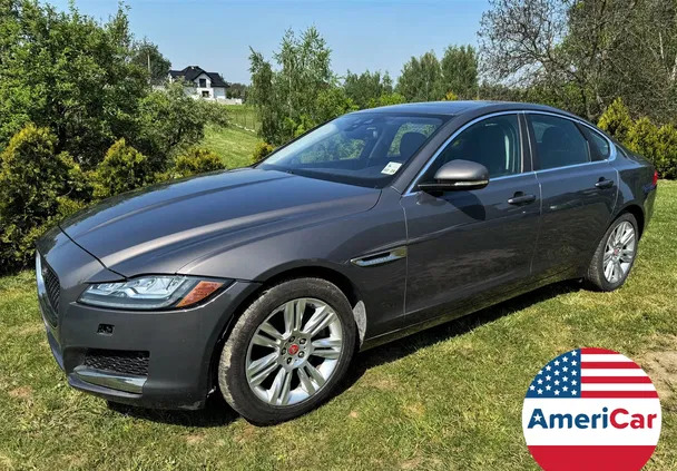 jaguar xf Jaguar XF cena 48900 przebieg: 70382, rok produkcji 2016 z Szczecinek